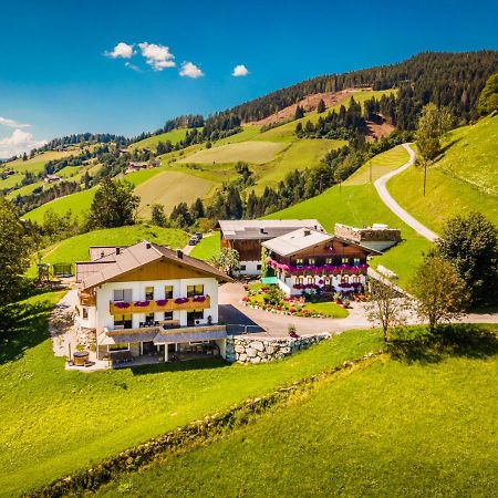 Apartamento Lindbichlhof Urlaub Am Bio Bauernhof Sankt Johann im Pongau Exterior foto