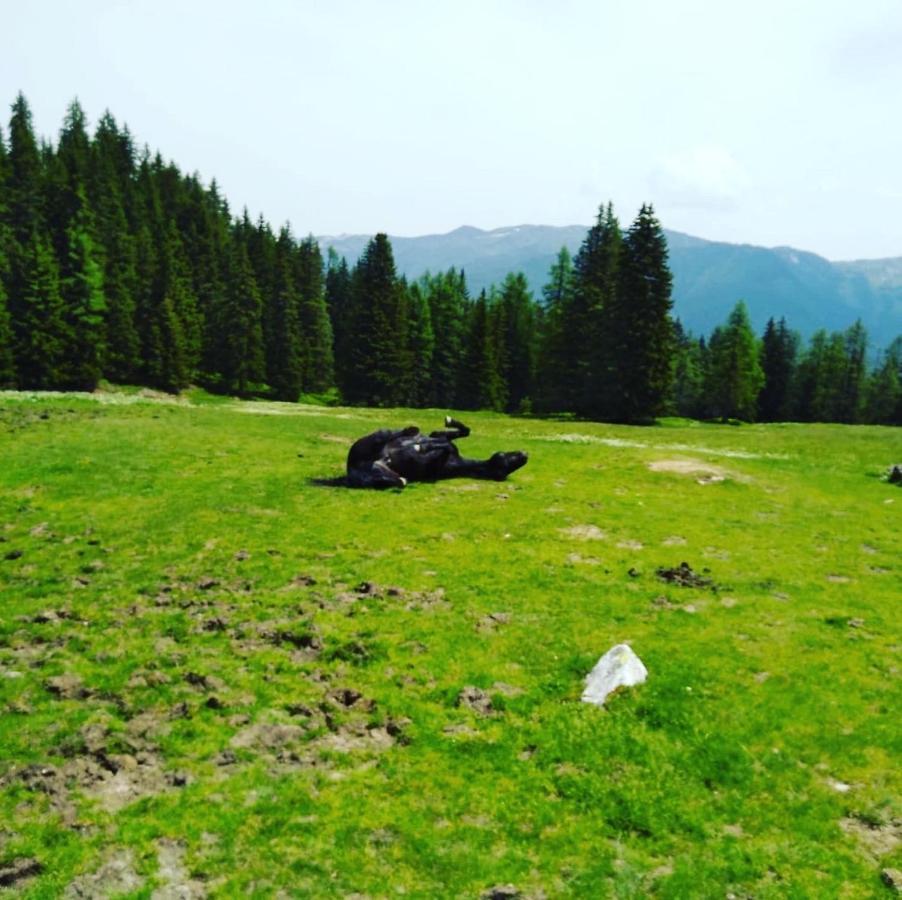 Apartamento Lindbichlhof Urlaub Am Bio Bauernhof Sankt Johann im Pongau Exterior foto